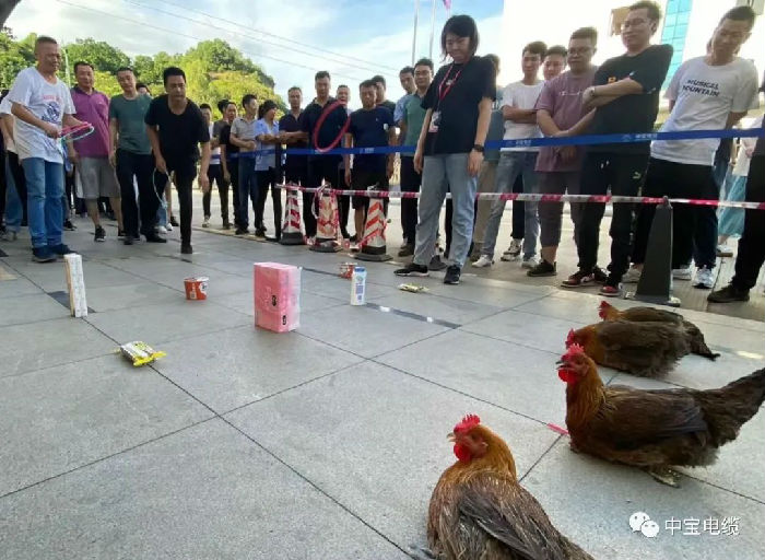 19.jpg 圖片